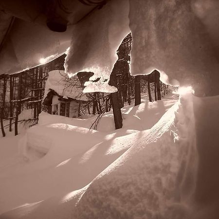Hôtel Rifugio Geat Val Gravio à Villar Focchiardo Extérieur photo